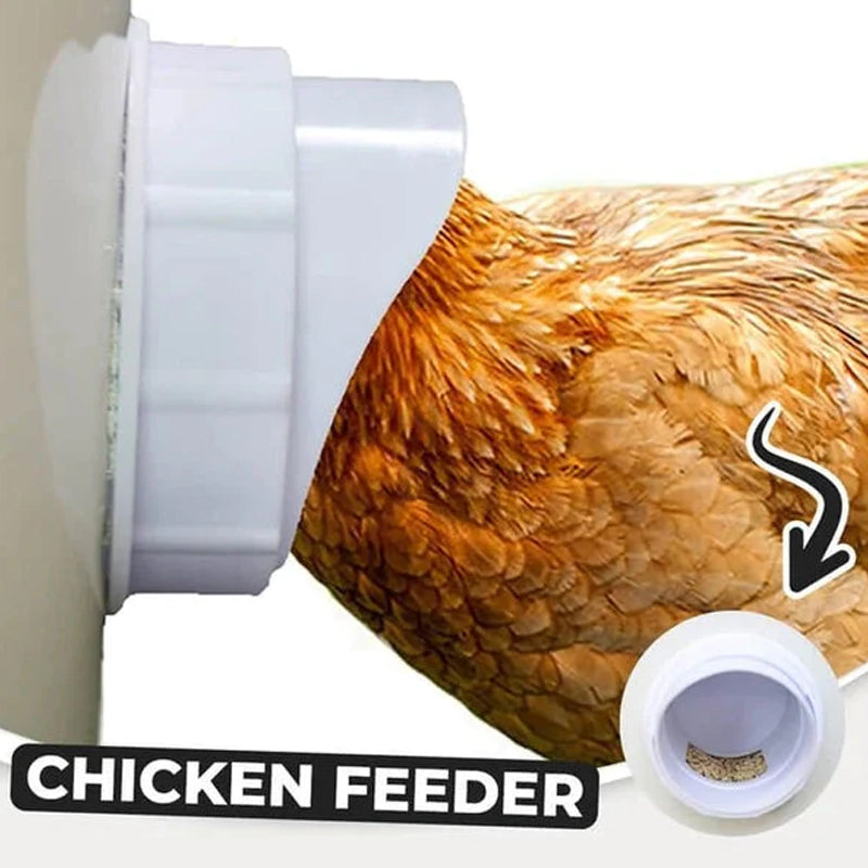 Poultry Automatic Gravity Feeder