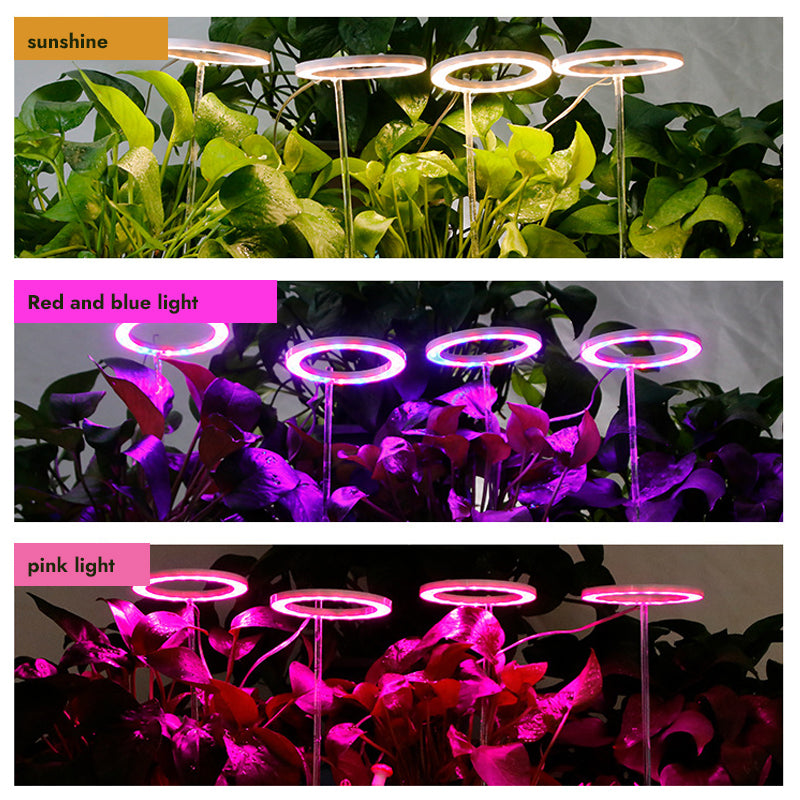 LED Grow Light