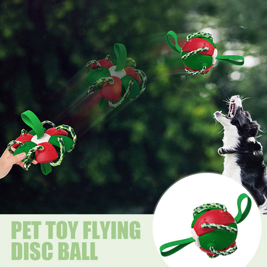 Outdoor Training Interactive Frisbee Soccer Dog Toy