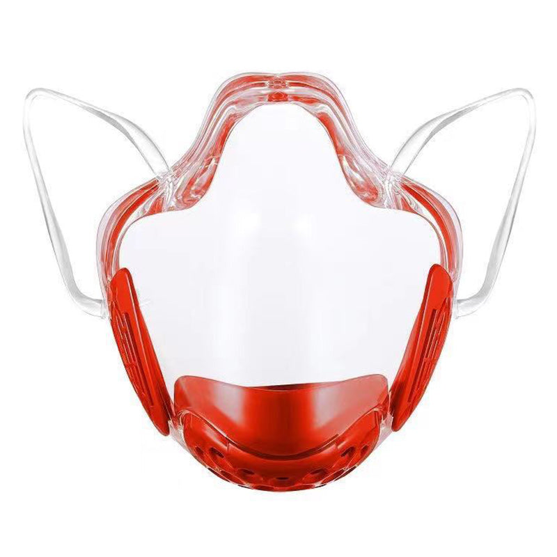 Transparent Reusable Anti-fog And Dust Mask