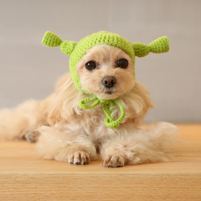 Pets Love Funny Hats