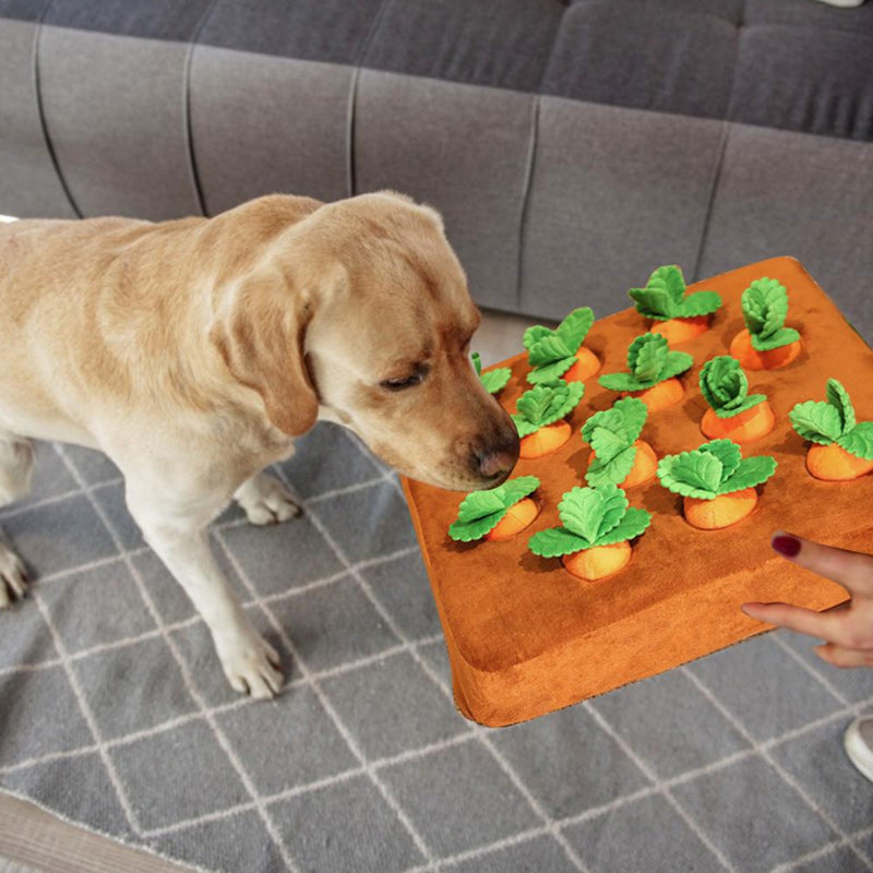 Carrot Plushie - Enriches Your Dog's Life