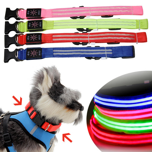 Adjustable Light Up Pet Collar