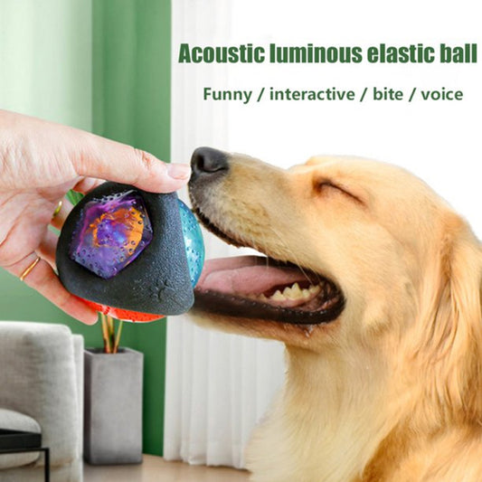 Pet Sound And Light Interactive Training Ball