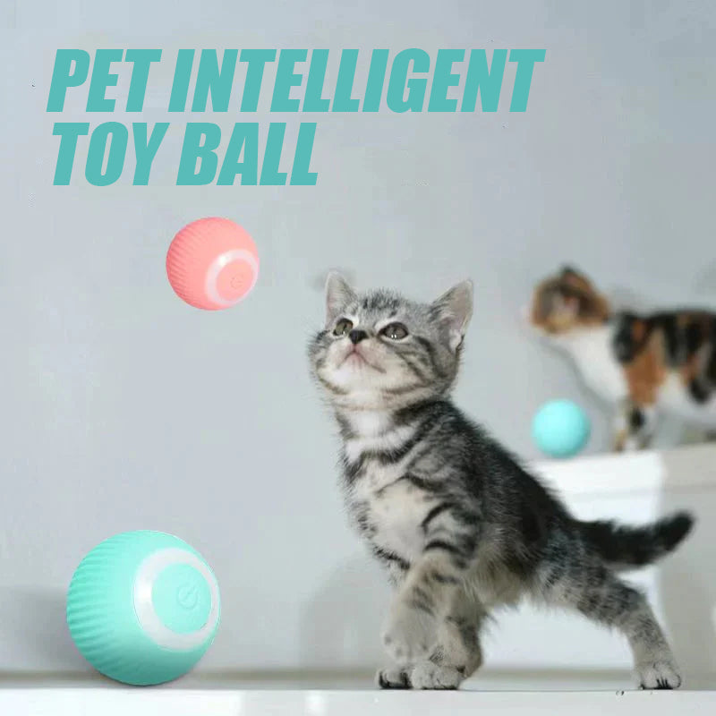 Pet Gravity Intelligent Rolling Ball