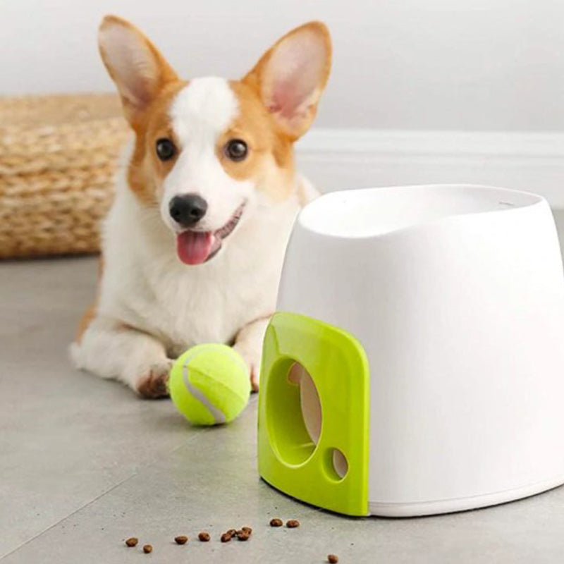 Automatic Interactive Dog Tennis Ball Launcher