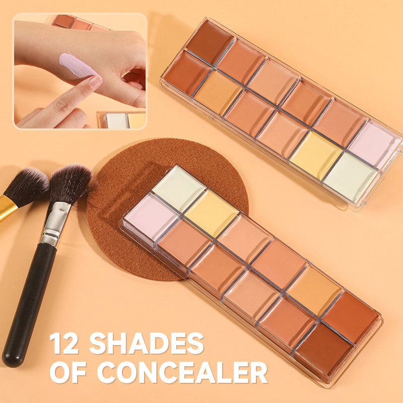 12 Color Concealer