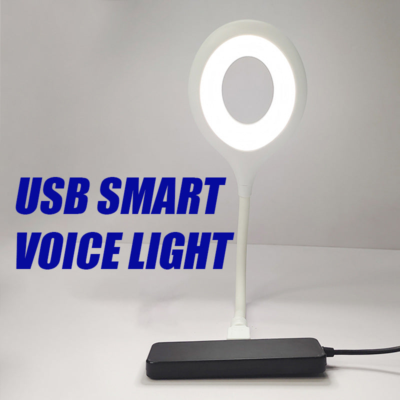 USB Smart Voice Light