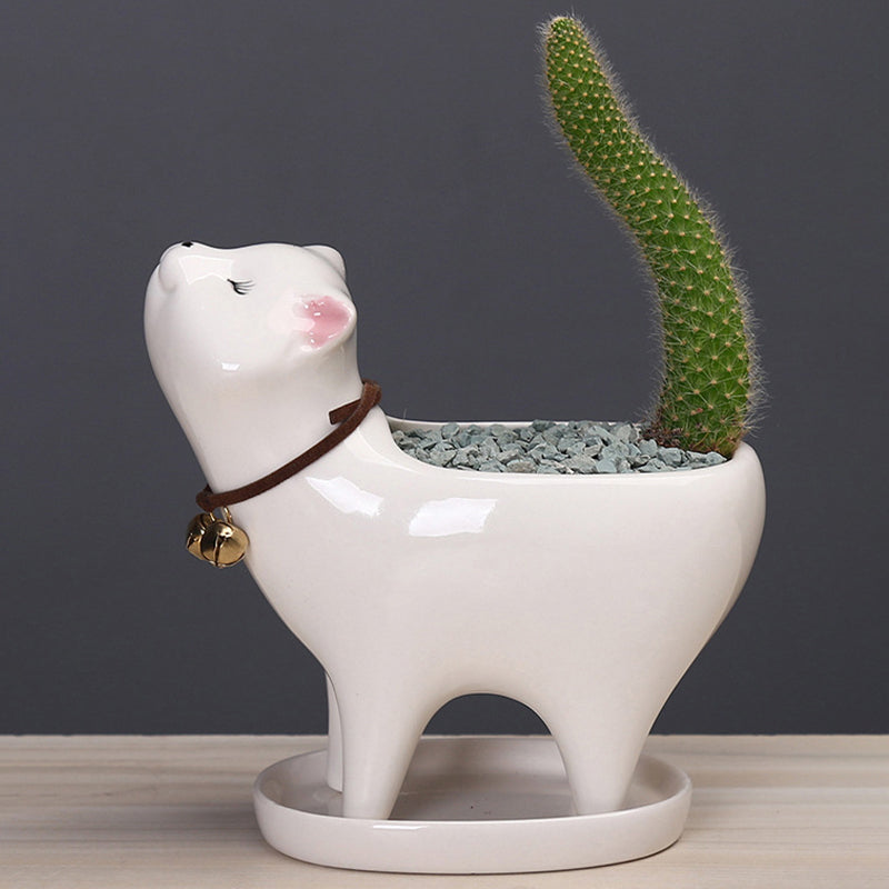 Tail Succulent Cactus Ceramic Flower Pot