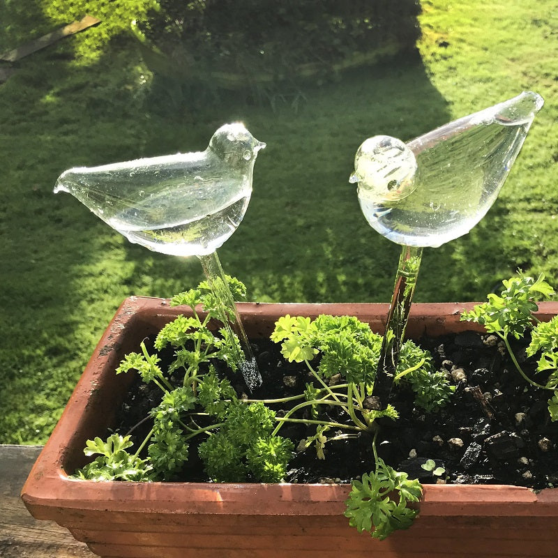 Bird Lazy Flower Waterer