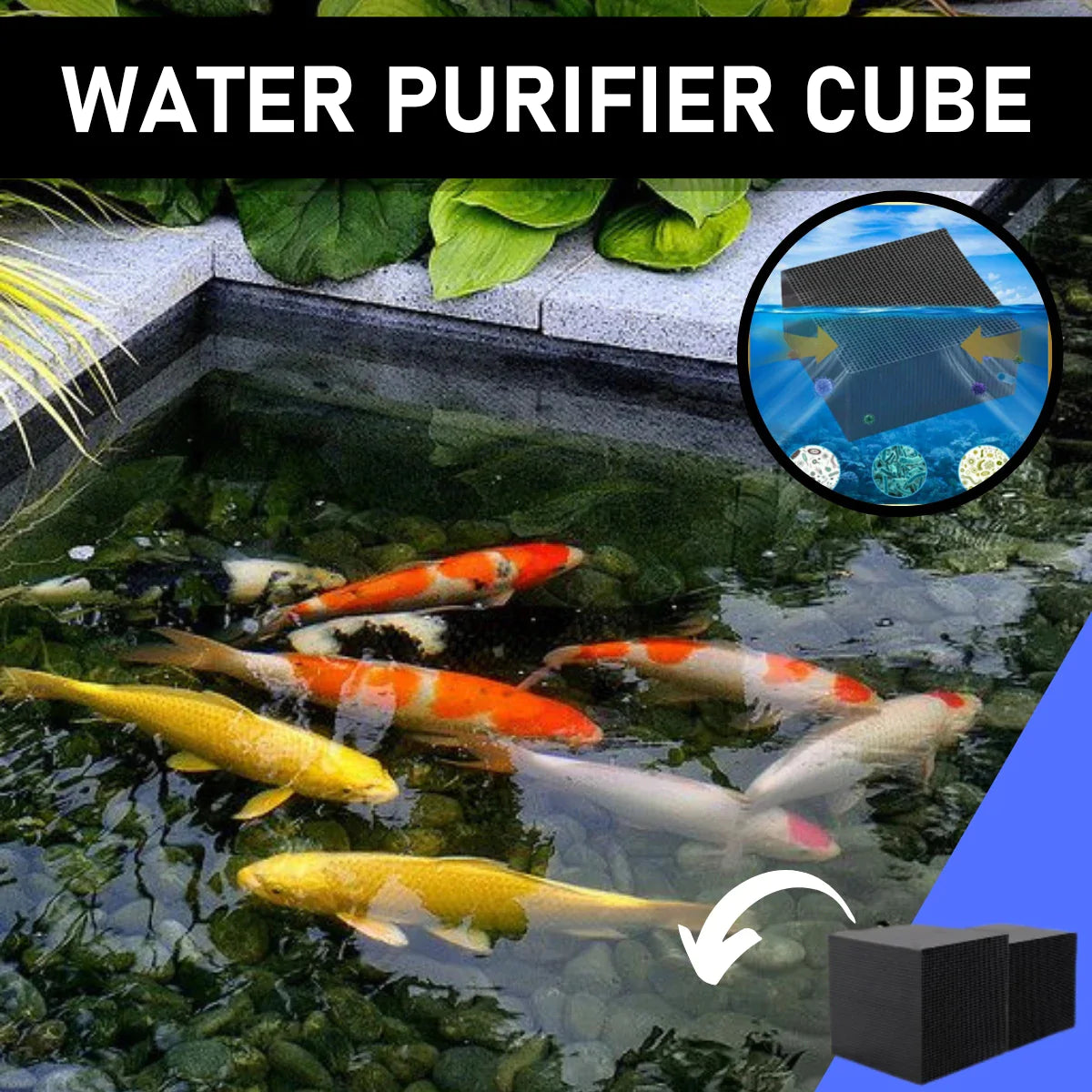 🐟Water Purifier Cube