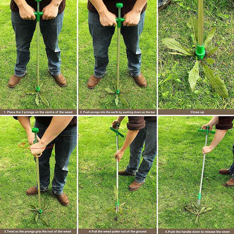 Long Handle Weed Puller