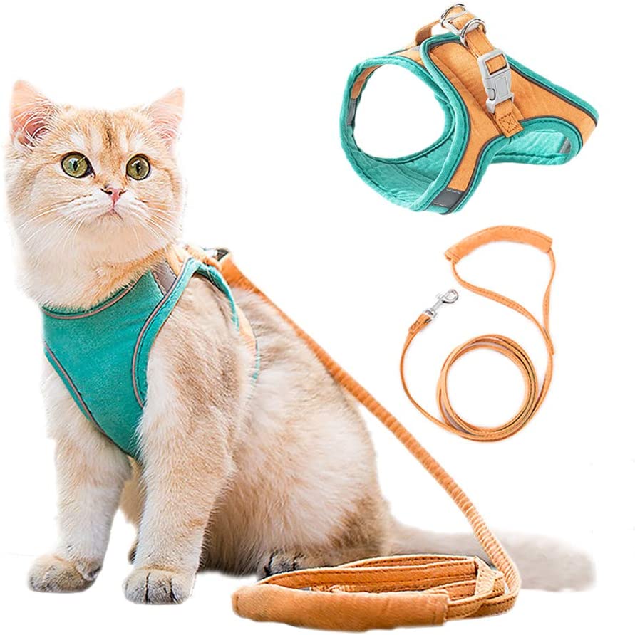 Cat Vest Leash