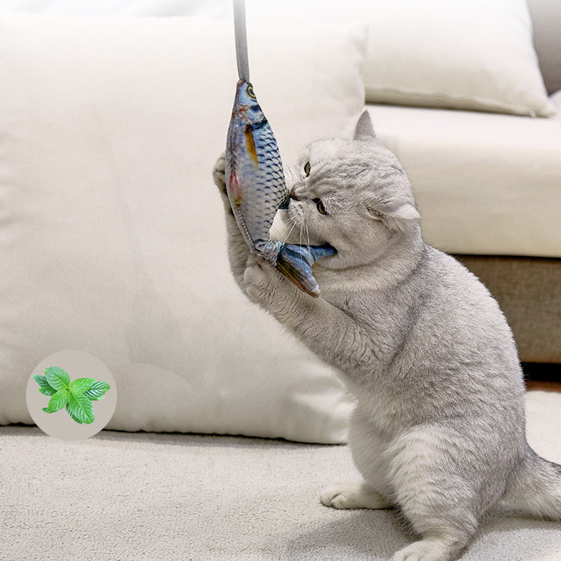 Interactive Cat Toys