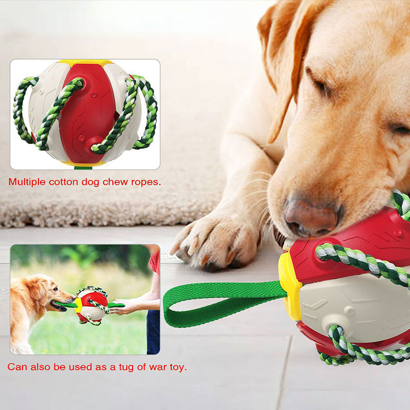 Outdoor Training Interactive Frisbee Soccer Dog Toy