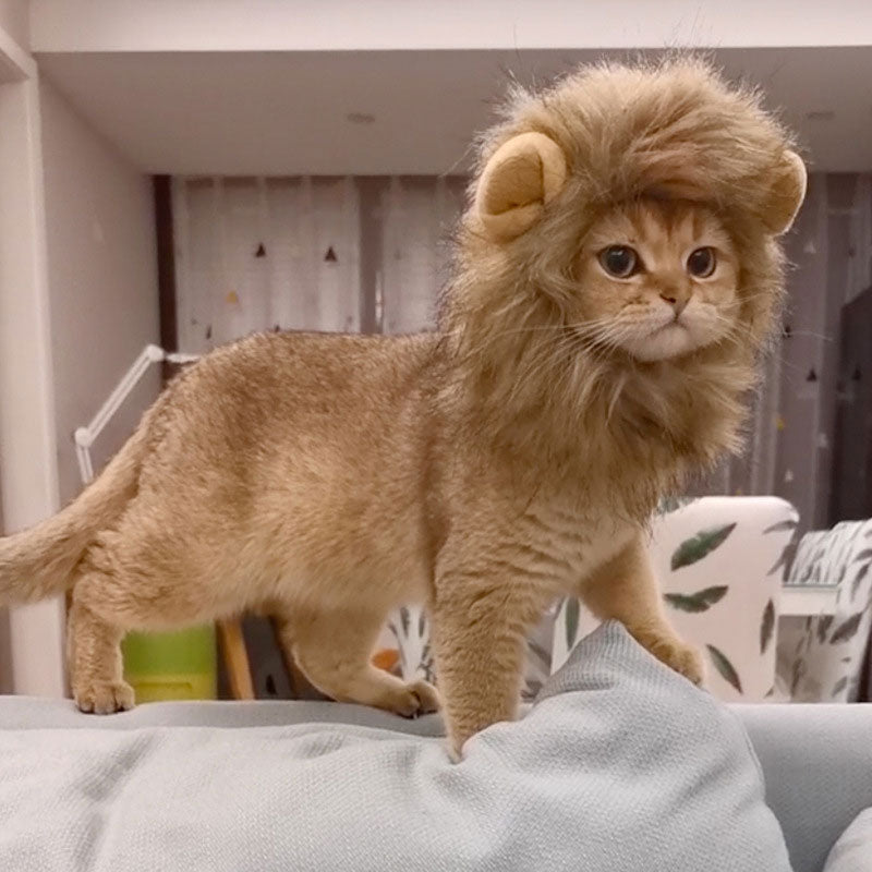 Cat Lion Headgear