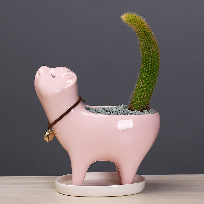 Tail Succulent Cactus Ceramic Flower Pot