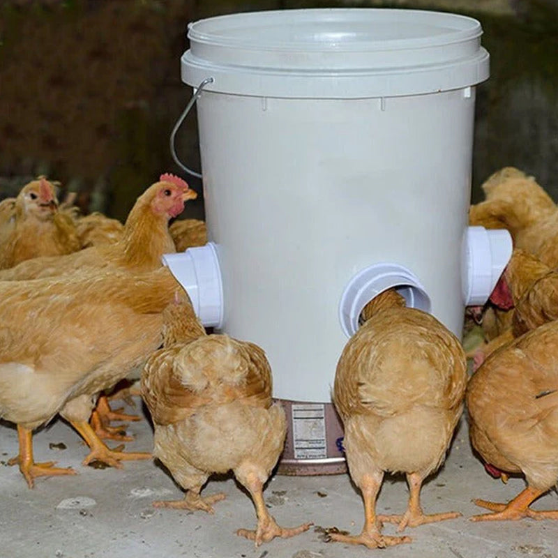 Poultry Automatic Gravity Feeder