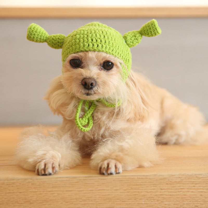 Pets Love Funny Hats