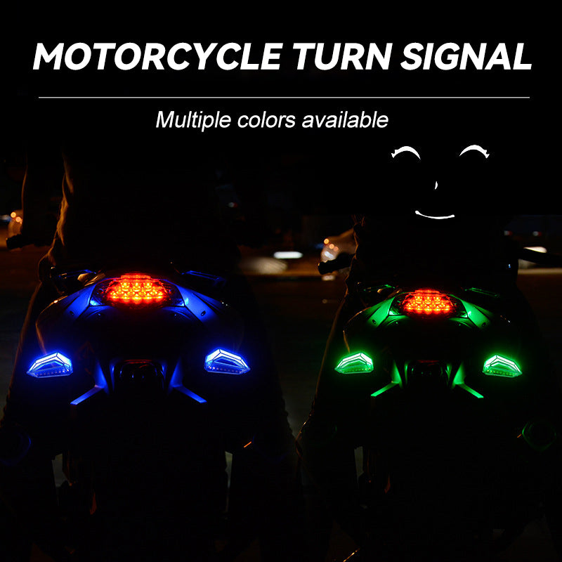 Motorcycle Turn Signal