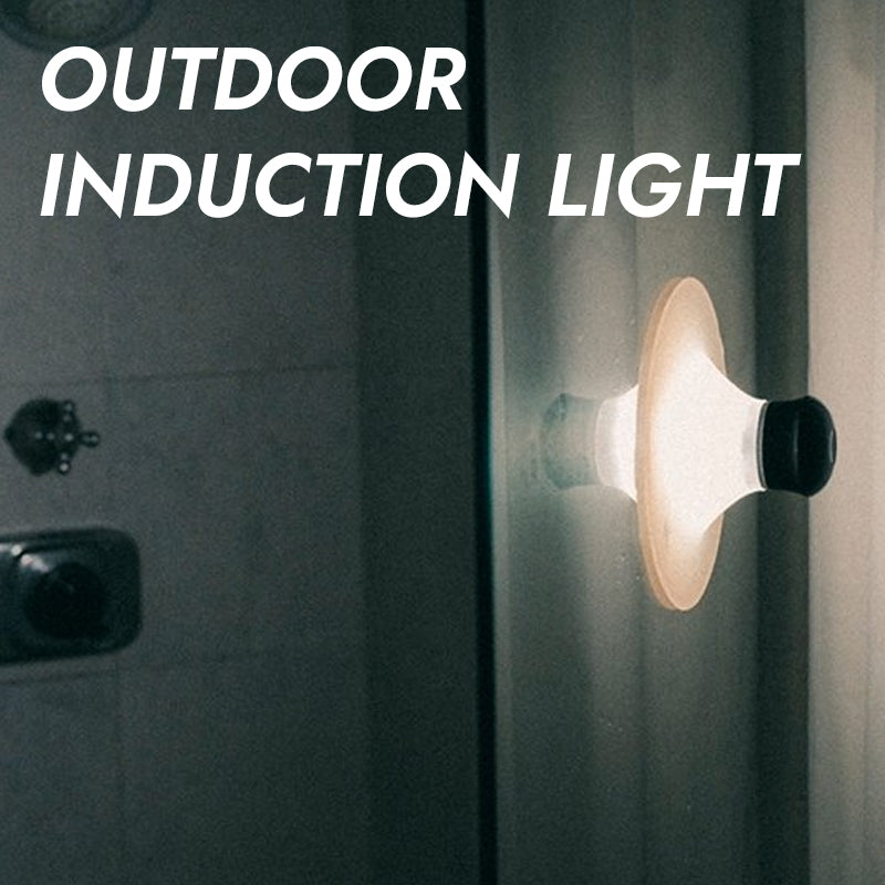 Induction Sucker Night Light