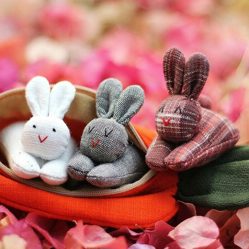 Hide-and-Seek Bunnies in Carrot Pouch