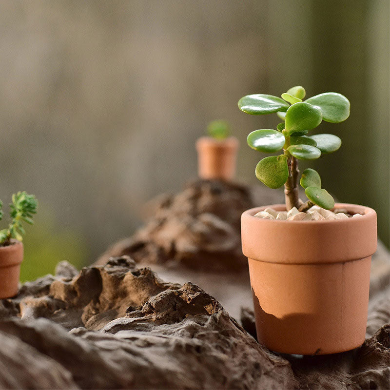 Miniature Ceramic Succulent Pots