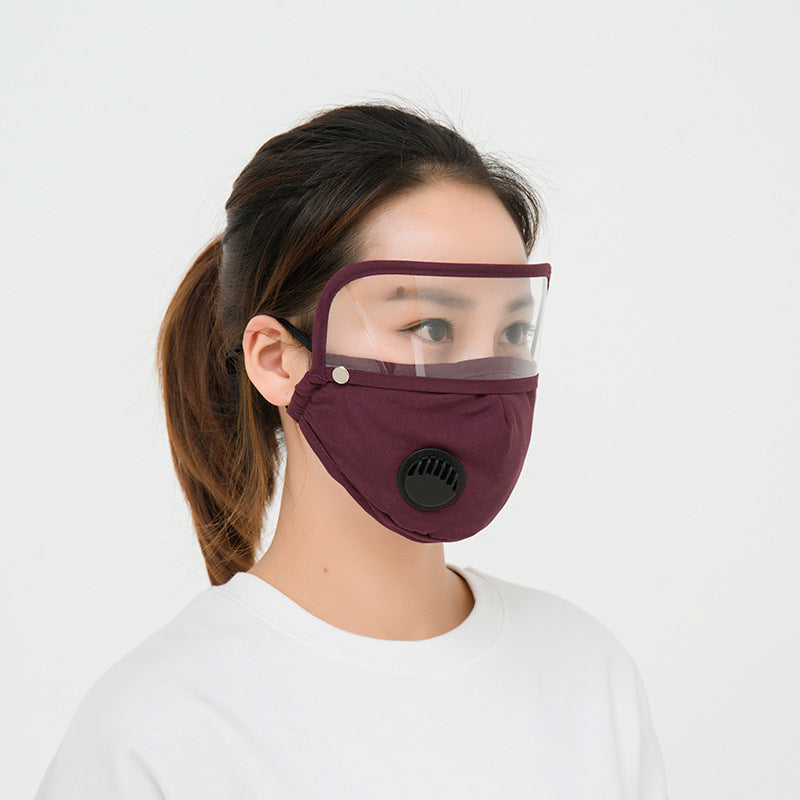 Oil Fume Mask