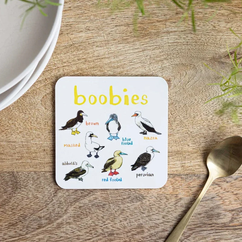 🐦Set of 6 Bird Pun Coasters