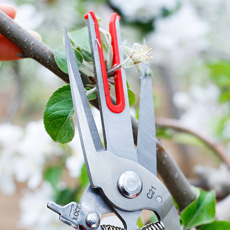 Double Mouth Thinning Shears