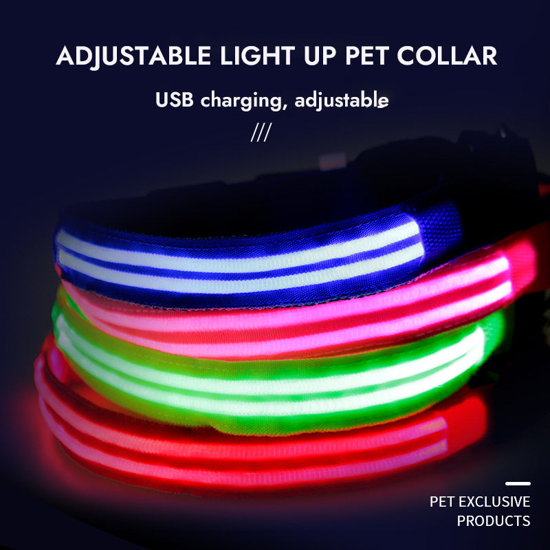 Adjustable Light Up Pet Collar