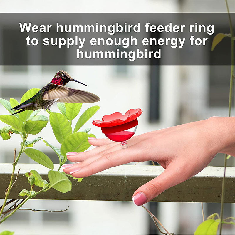 Hummingbird Feeder