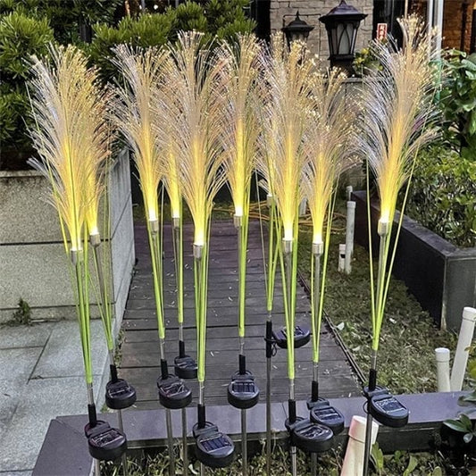 Reed Fiber Optic Light