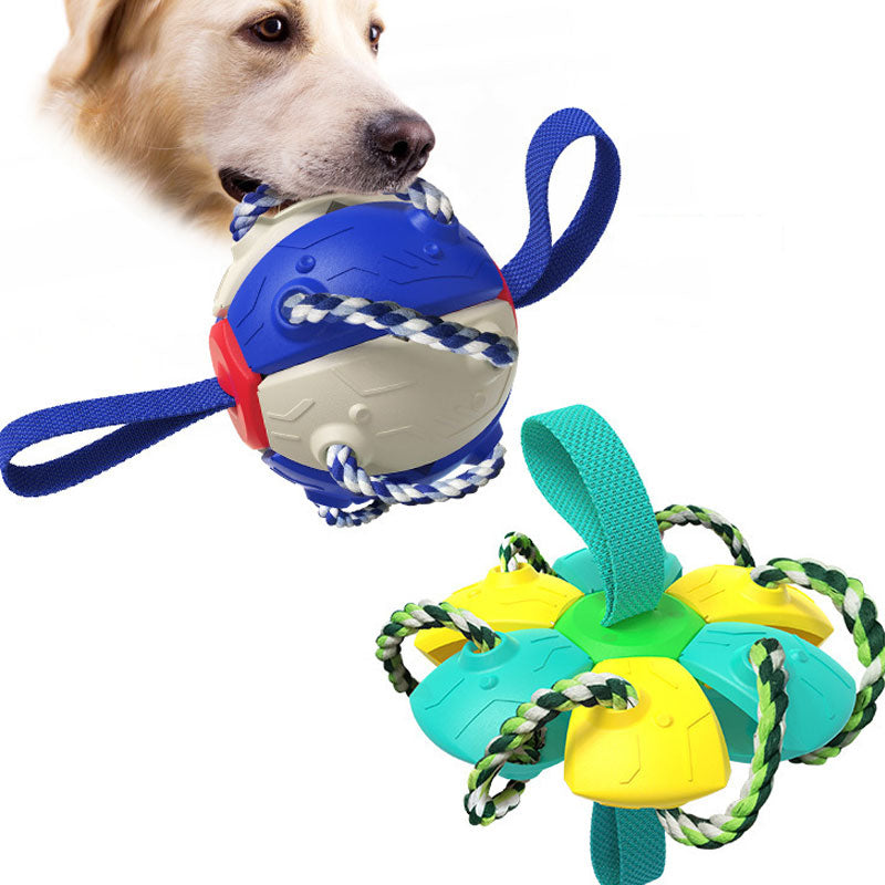 Outdoor Training Interactive Frisbee Soccer Dog Toy