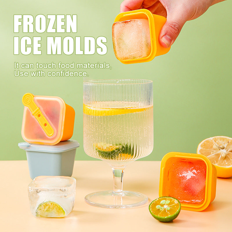 Frozen Ice Molds（six pack）