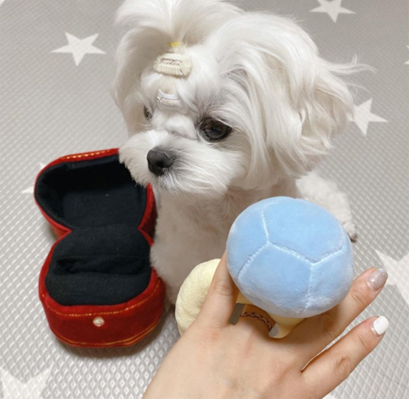 Diamond Ring Plush Ring Box Gift