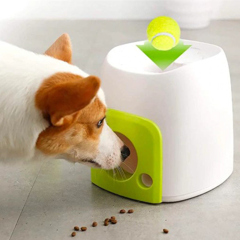 Automatic Interactive Dog Tennis Ball Launcher