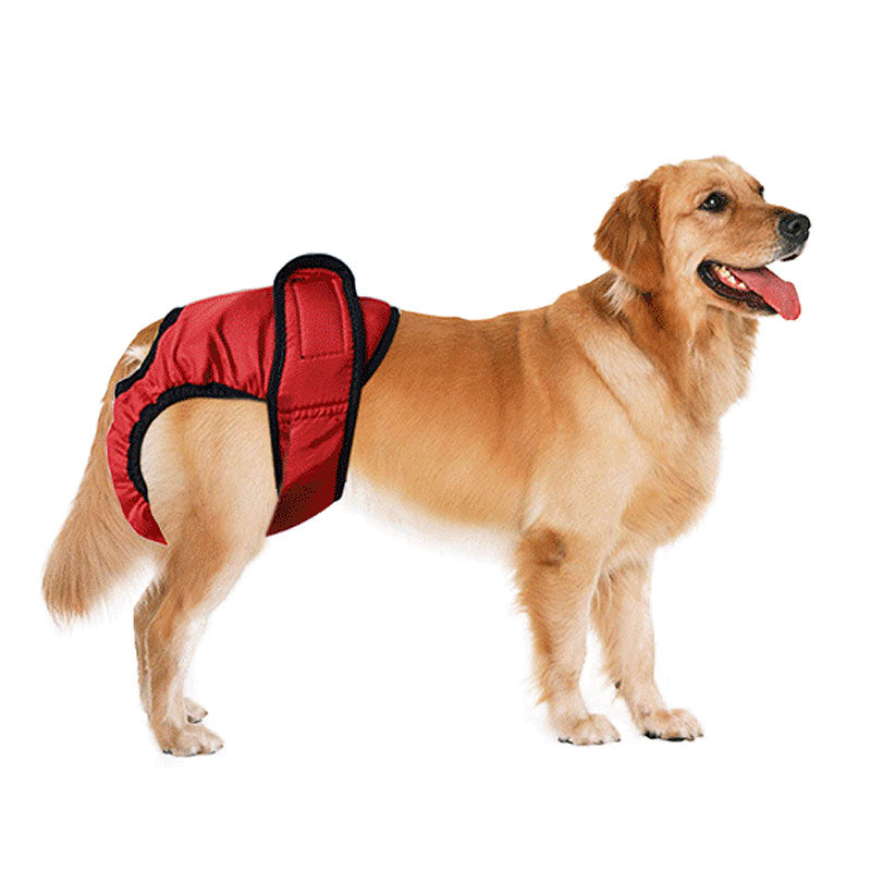 Pet Physiological Pants