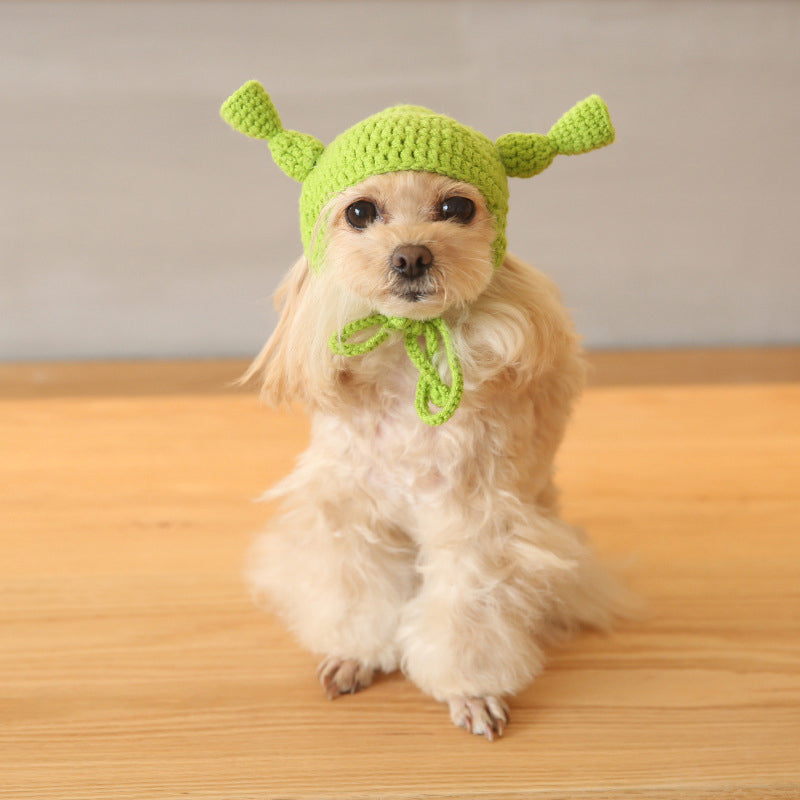 Pets Love Funny Hats