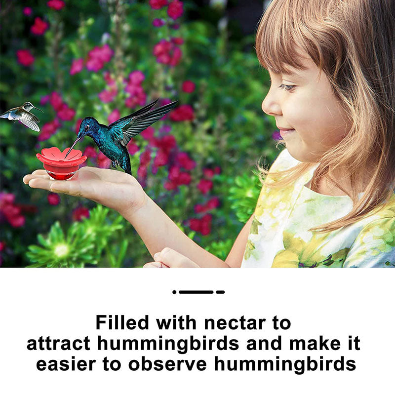 Hummingbird Feeder