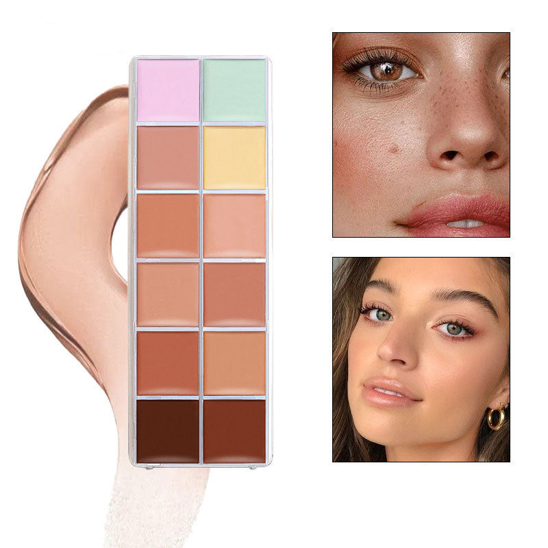 12 Color Concealer