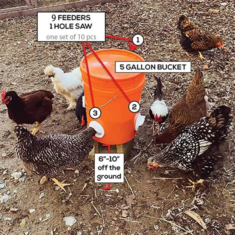 Poultry Automatic Gravity Feeder