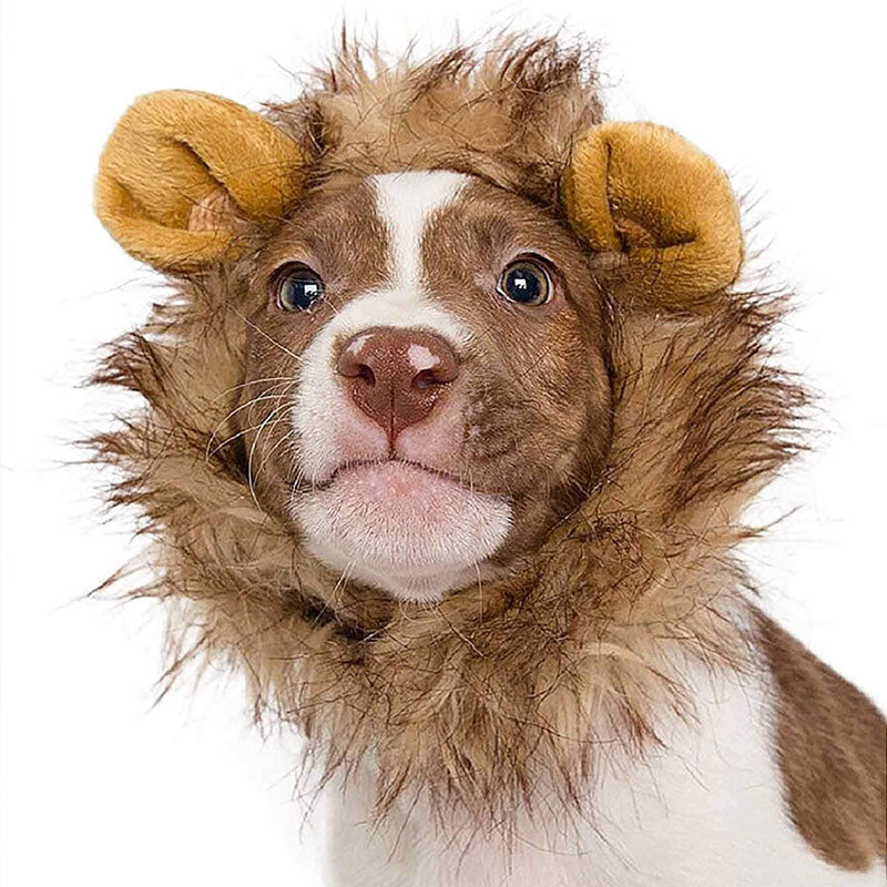 Cat Lion Headgear