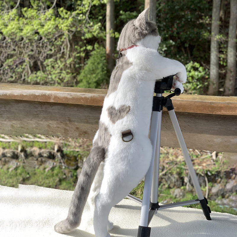 This Cat Backpack Looks Like a Real Live Cat