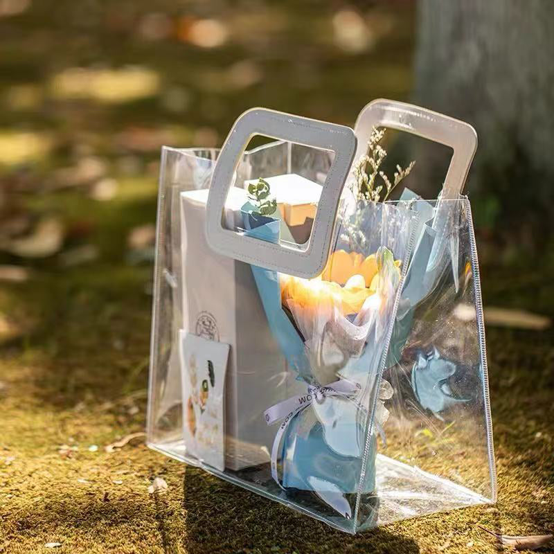 Transparent Gift Bag