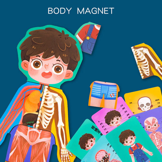 Human Body Anatomy Wooden Puzzle Game