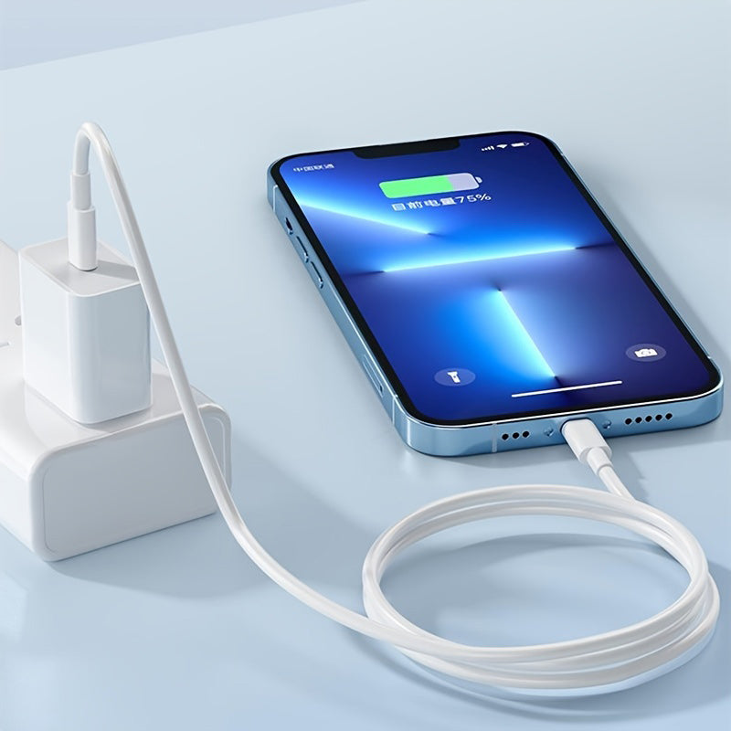 2 in 1 USB Type-C Charger