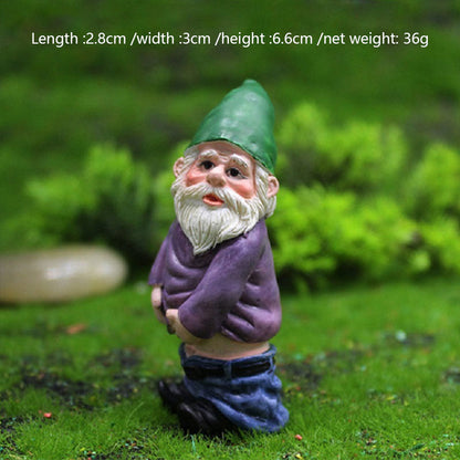 Miniature Gardening Gnomes Figurines