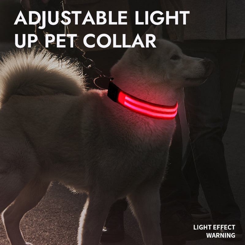 Adjustable Light Up Pet Collar