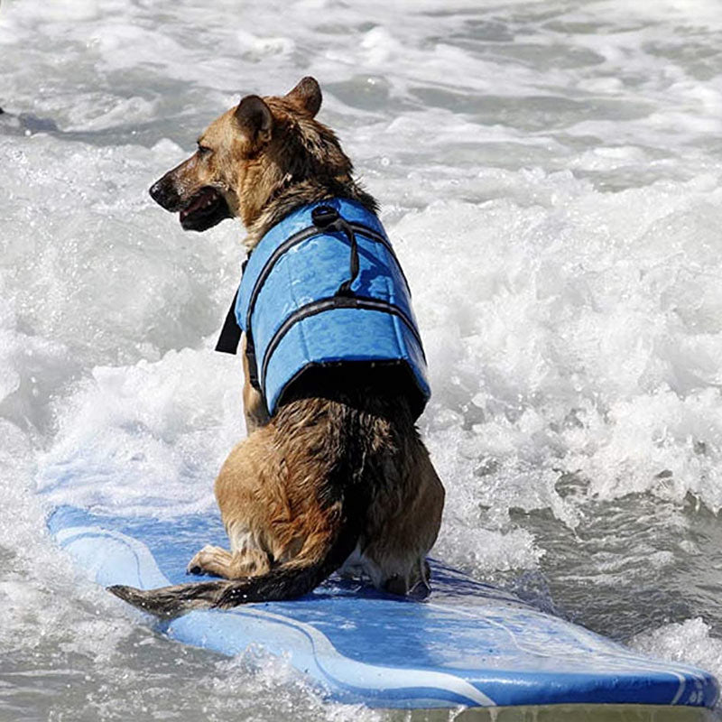 Pet Swimsuit Life Jacket